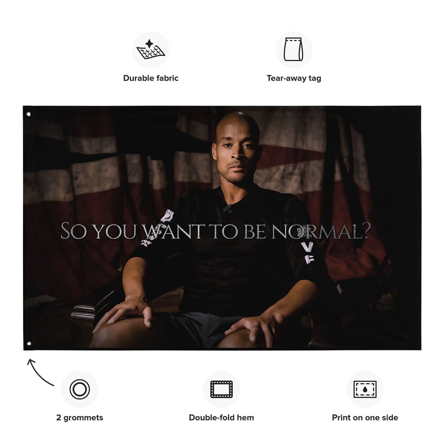 "So you want to be normal?" - David Goggins Flag