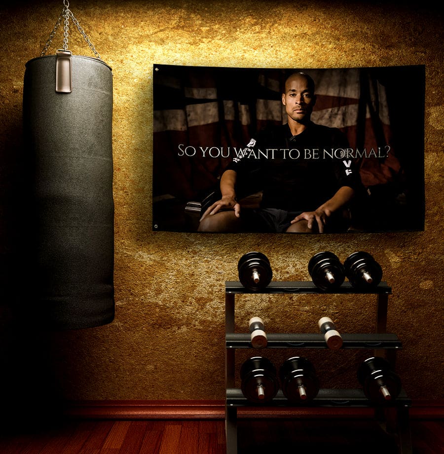"So you want to be normal?" - David Goggins Flag