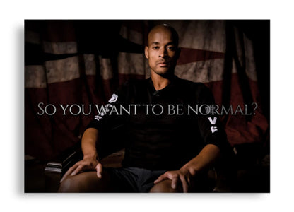 (POSTER) SO YOU WANT TO BE NORMAL? - David Goggins