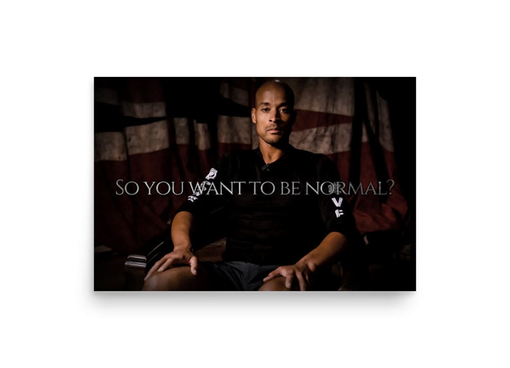 (POSTER) SO YOU WANT TO BE NORMAL? - David Goggins